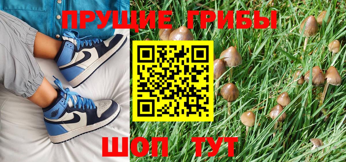 Волжск  Галлюциногенные грибы Magic Shrooms  Вход с VPN 