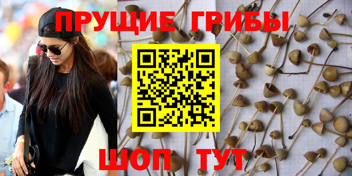 Галлюциногенные грибы прущие грибы Волжск